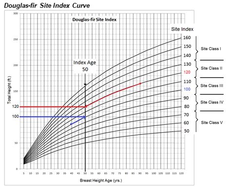 Douglas-fir Site Index Curve
