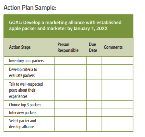 action-plan-sample