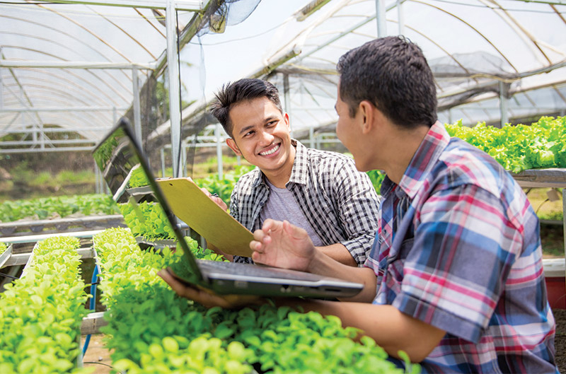 Two men in Greenhouse with crops, reviewing laptop and paperwork
